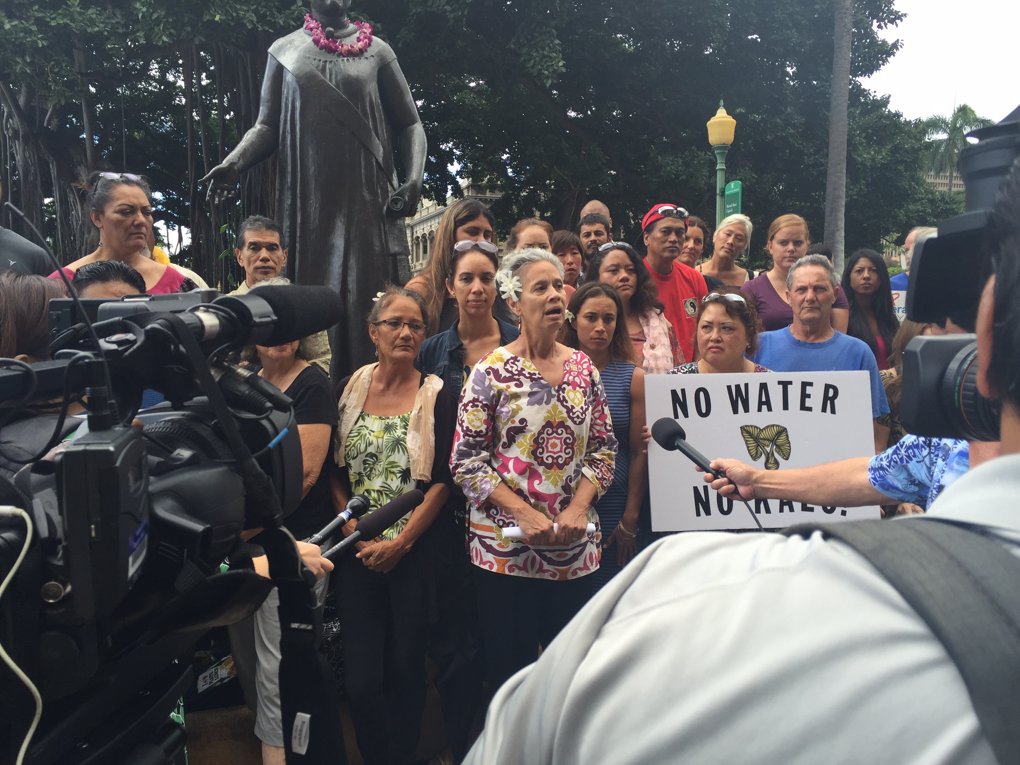 Nā Moku & the fight for water in Maui Hikina