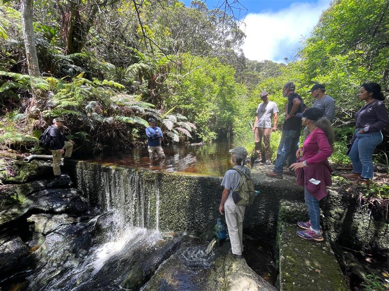 Restoring Kawela Stream on Molokaʻi